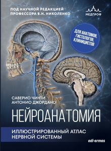 Обложка Нейроанатомия. Иллюстрированный атлас нервной системы Саверио Чинти, Антонио Джордано