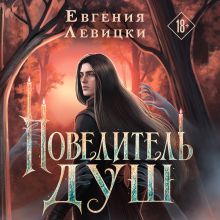 Обложка Повелитель душ Евгения Левицки