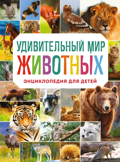 Обложка Удивительный мир животных. Азия. Серия 4 Н. Н. Баранова