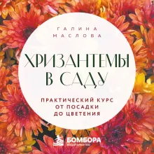 Хризантемы в саду. Практический курс от посадки до цветения